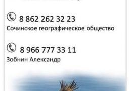 Увидел птицу в мазуте. Сообщи.